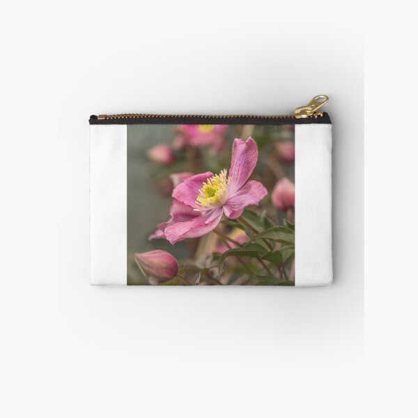 Item preview, Pink clematis Montana Rubens designed and sold by Judi Lion.