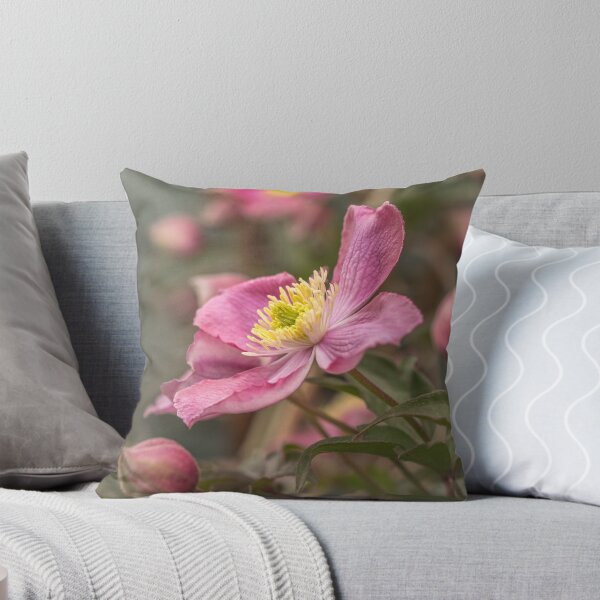 Item preview, Pink clematis Montana Rubens designed and sold by Judi Lion.