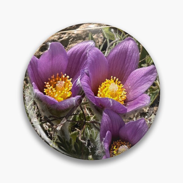 Item preview, The Alps are blooming designed and sold by nikawanders.