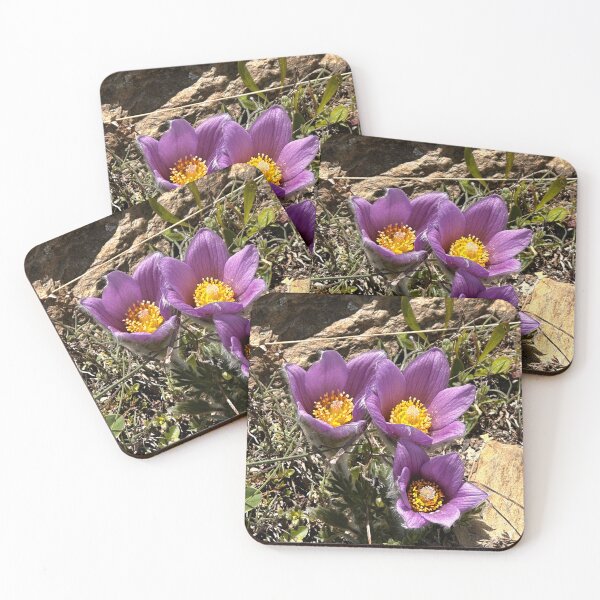 Item preview, The Alps are blooming designed and sold by nikawanders.
