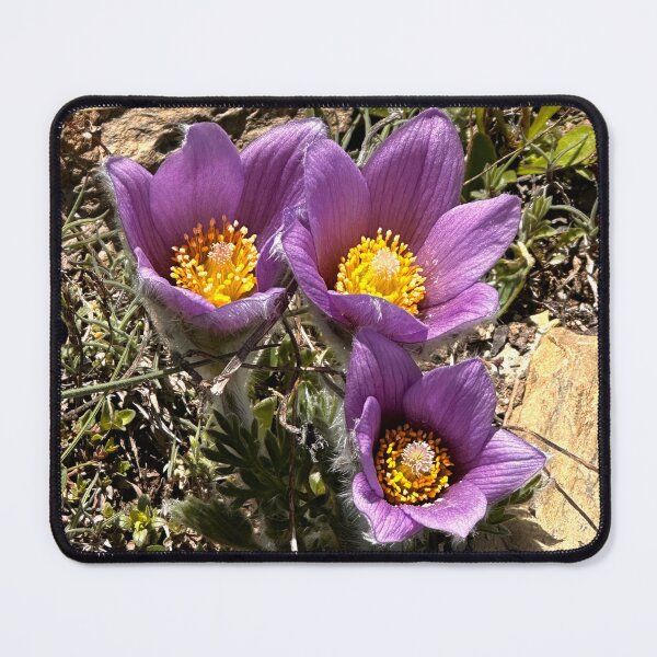 Item preview, The Alps are blooming designed and sold by nikawanders.