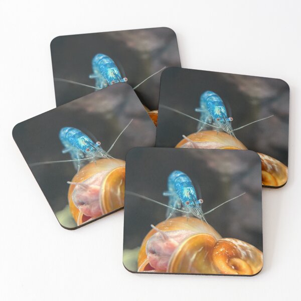 Item preview, Adult Neocaridina Freshwater Shrimp Being Silly for the Camera designed and sold by Cassandra Tiensivu.