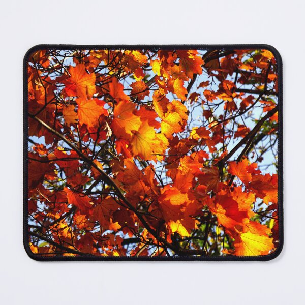 Item preview, Leaves Autumn Switzerland designed and sold by nikawanders.
