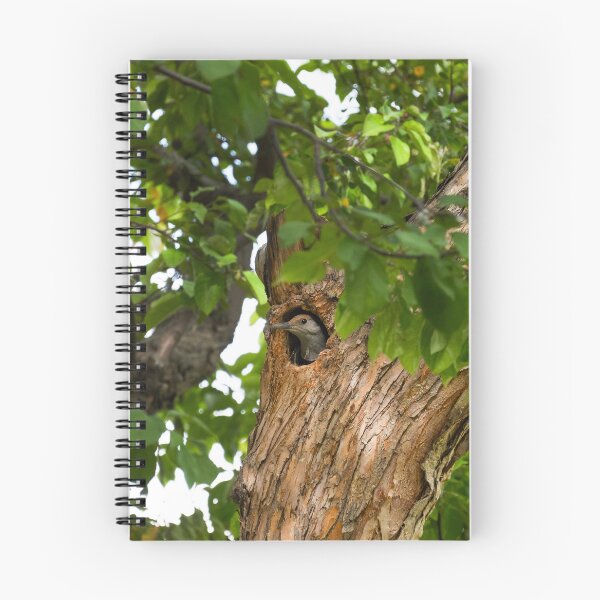 Item preview, Tree's Hollow designed and sold by Imbeccable Images.