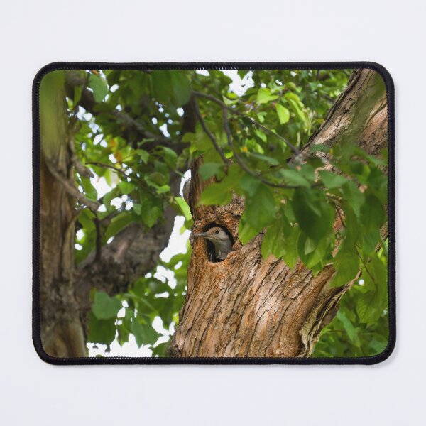 Item preview, Tree's Hollow designed and sold by Imbeccable Images.