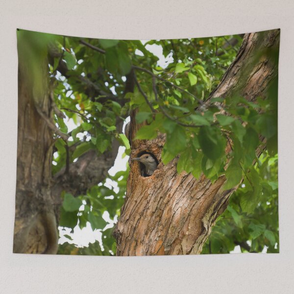 Item preview, Tree's Hollow designed and sold by Imbeccable Images.