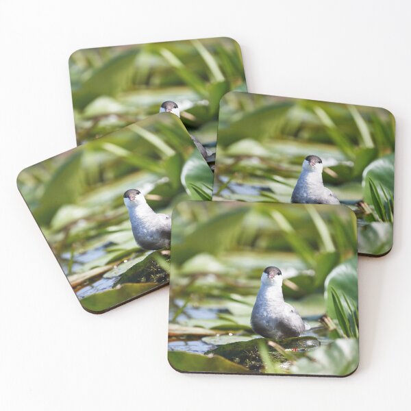 Item preview, Whiskered Tern (Chlidonias hybrida) designed and sold by Andreas Koerner.