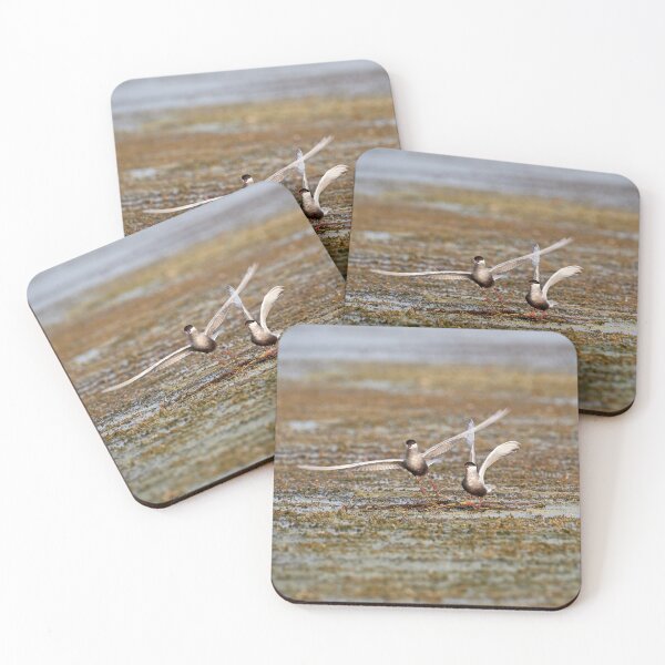 Item preview, Whiskered Tern (Chlidonias hybrida) - Take Off designed and sold by Andreas Koerner.