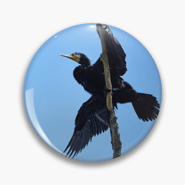 Item preview, Cormorant (Phalacrocorax carbo) designed and sold by Andreas Koerner.