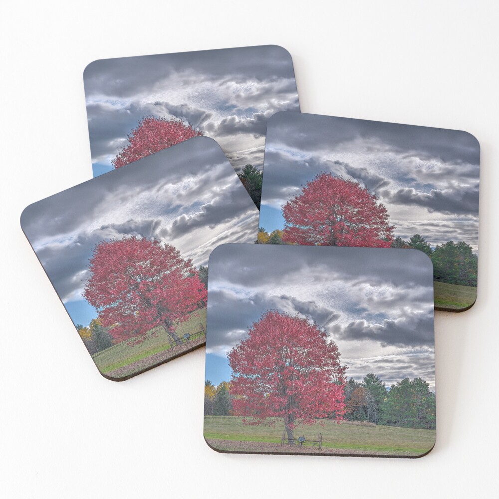 Item preview, Coasters (Set of 4) designed and sold by BeanME.