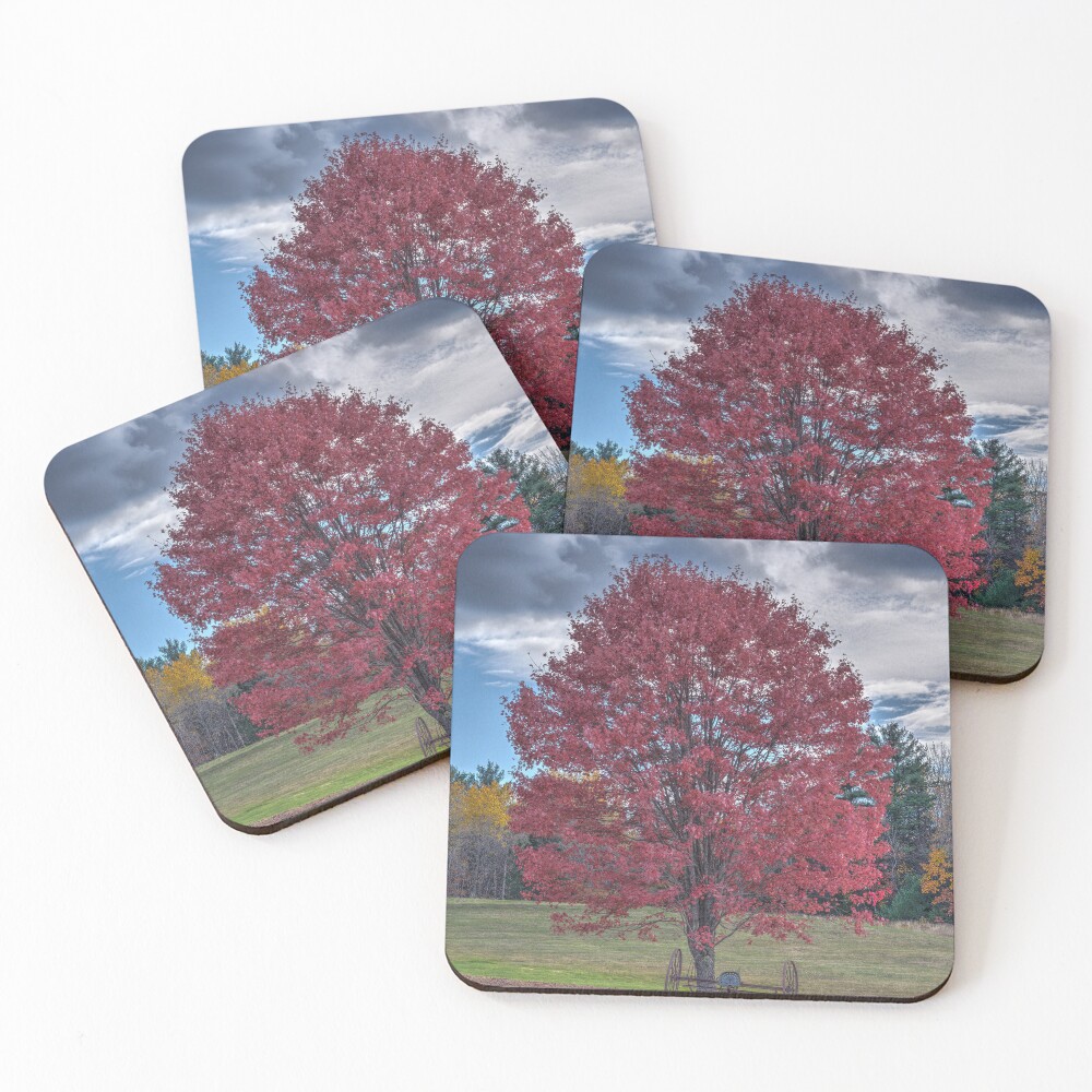 Item preview, Coasters (Set of 4) designed and sold by BeanME.