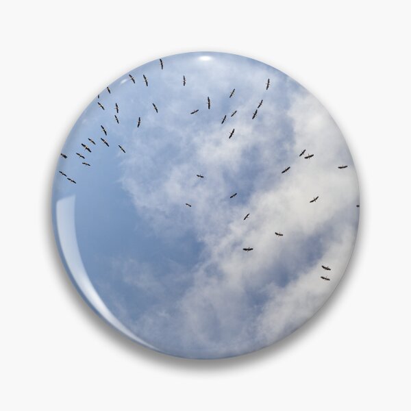 Item preview, Pelican Tornado designed and sold by Andreas Koerner.