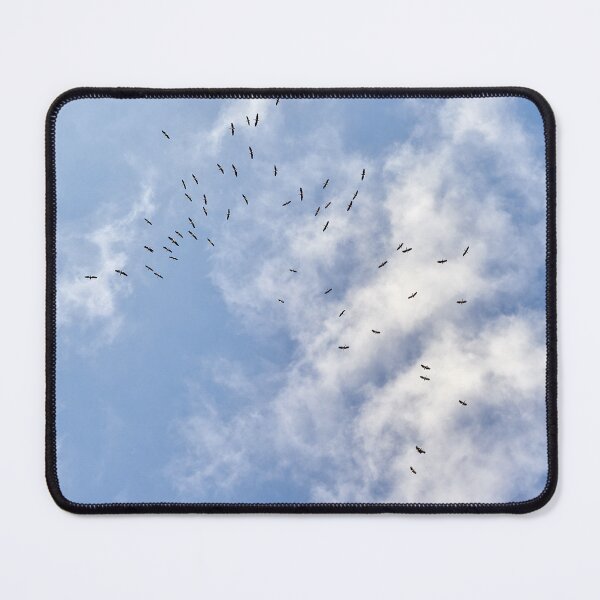 Item preview, Pelican Tornado designed and sold by Andreas Koerner.