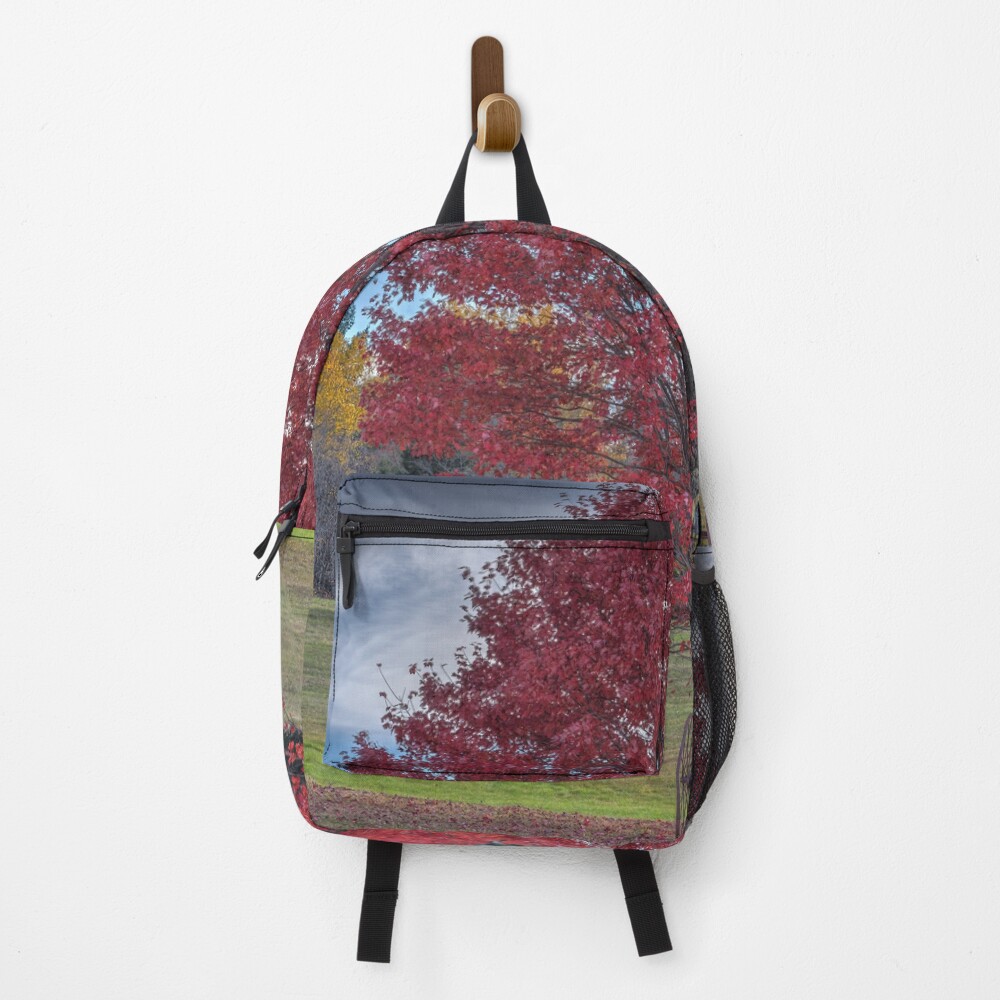 Item preview, Backpack designed and sold by BeanME.