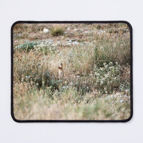 Item preview, Pearl ground squirrel (Spermophilus suslicus) designed and sold by Andreas Koerner.