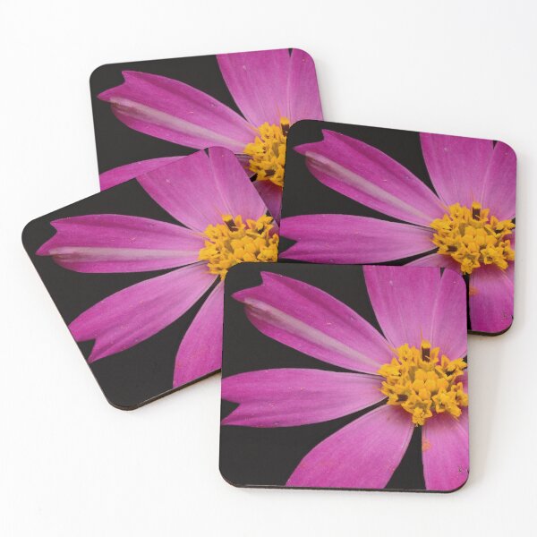 Item preview, Pink Cosmos Flower Macro – Bright Floral Minimalism designed and sold by Goiko7Margarita.