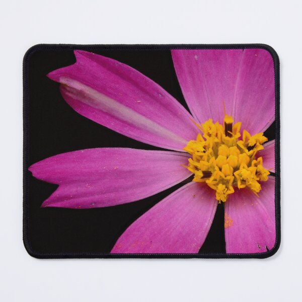 Item preview, Pink Cosmos Flower Macro – Bright Floral Minimalism designed and sold by Goiko7Margarita.