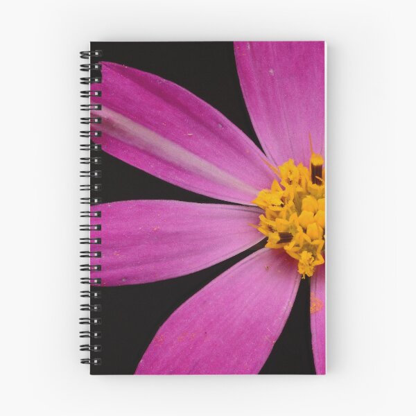 Item preview, Pink Cosmos Flower Macro – Bright Floral Minimalism designed and sold by Goiko7Margarita.
