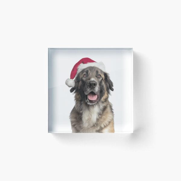 Item preview, Leonberger dog with Christmas Hat – Festive Gentle Giant dog Xmas Design designed and sold by LazyOwlStore.