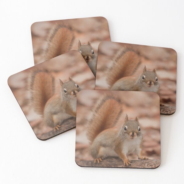 Item preview, A curious little squirrel designed and sold by Production Art Manon Meilleur.