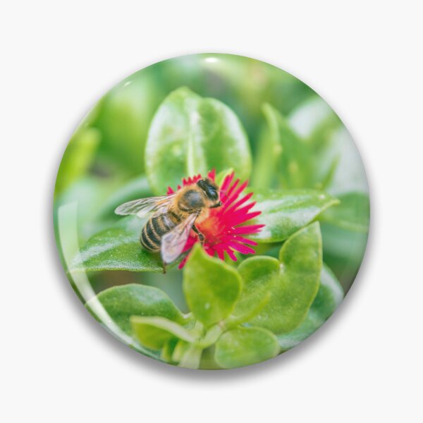 Item preview, Honey Bee on Vibrant Magenta Succulent Flower - Lush Garden Macro designed and sold by MDB_Shop.