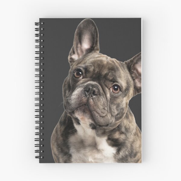 Artikelvorschau, Cute French Bulldog Photo entworfen und verkauft von CPP-Design.