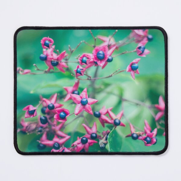 Item preview, Vibrant Pink and Cobalt Blue Star Flowers - Pop Art Botanical Macro designed and sold by MDB_Shop.