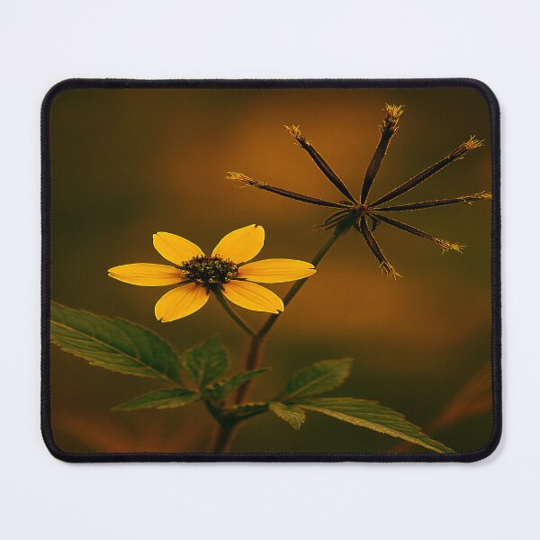 Item preview, Black jack  designed and sold by Twala Creative Studio.