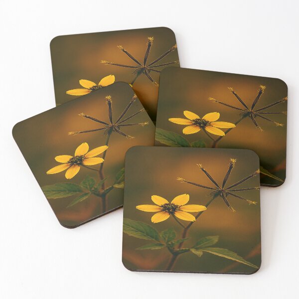 Item preview, Black jack  designed and sold by Twala Design Co..