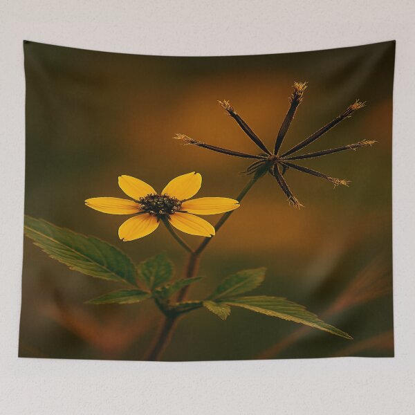 Item preview, Black jack  designed and sold by Twala Design Co..