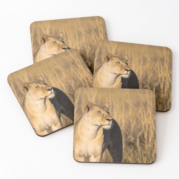 Item preview, Quiet Fire in the Grass — Lioness of Moremi, Botswana designed and sold by DavideAntoniani.