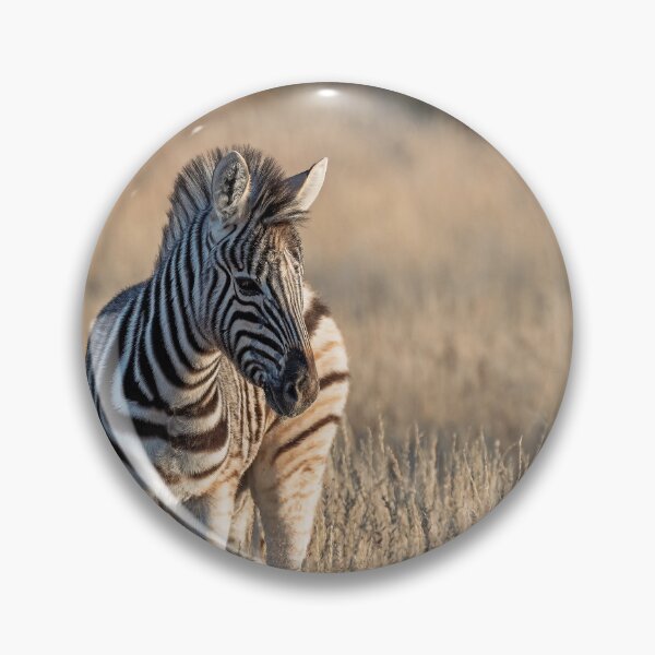 Item preview, Little Stripes in a Sea of Grass — Zebra Foal, Etosha designed and sold by DavideAntoniani.