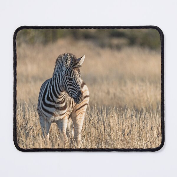 Item preview, Little Stripes in a Sea of Grass — Zebra Foal, Etosha designed and sold by DavideAntoniani.