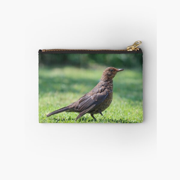 Item preview, Fledgling blackbird in the garden designed and sold by GreyFeatherPhot.