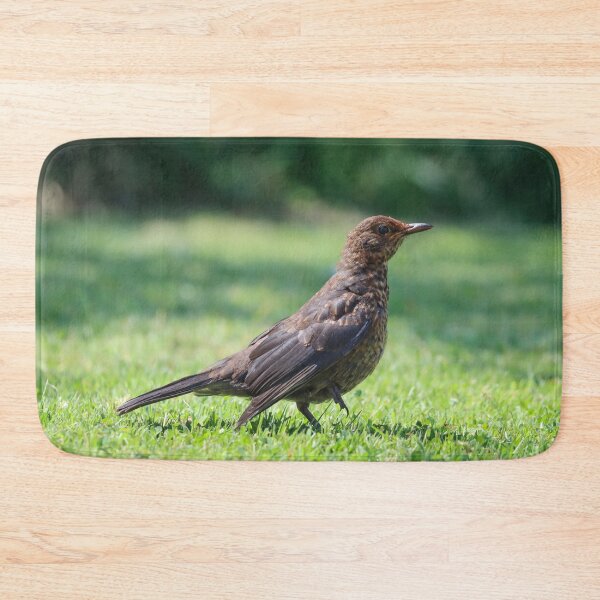 Item preview, Fledgling blackbird in the garden designed and sold by GreyFeatherPhot.