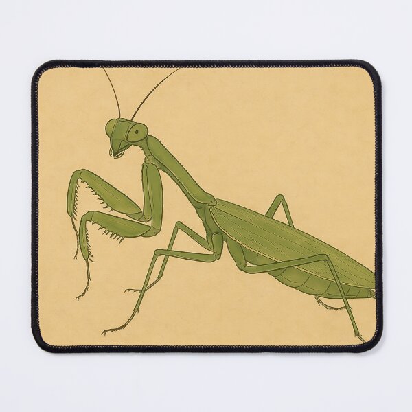 Item preview, Ukiyo-e Style Praying Mantids ( KAMAKIRI ) designed and sold by Nature Oracle Ukiyo.