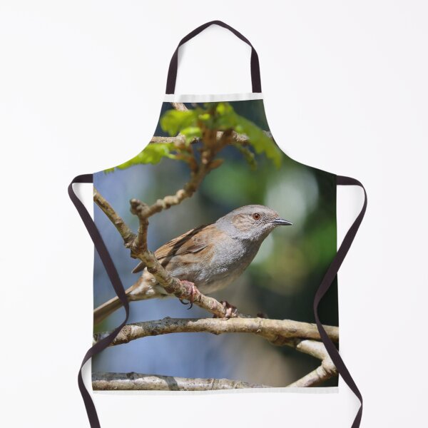 Item preview, Dunnock in sunshine designed and sold by GreyFeatherPhot.