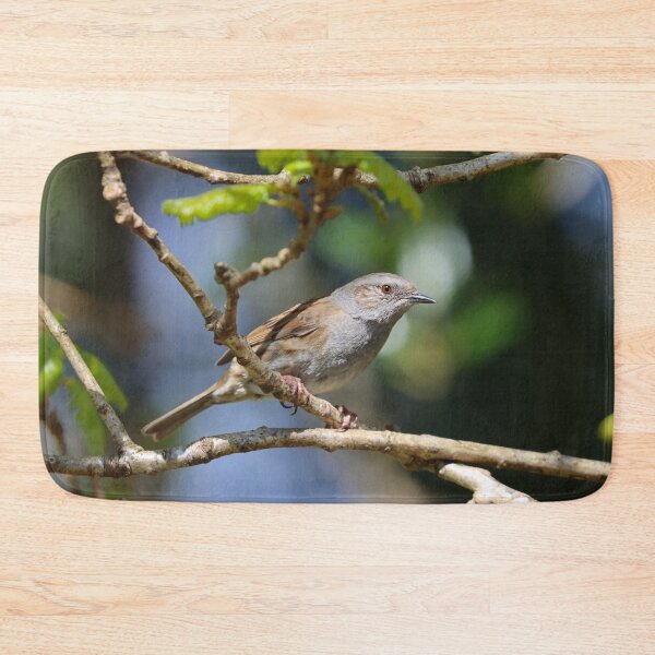 Item preview, Dunnock in sunshine designed and sold by GreyFeatherPhot.