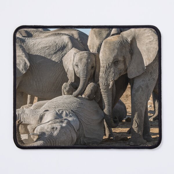 Item preview, Circle of Giants — Elephant Calf & Herd, Etosha designed and sold by DavideAntoniani.