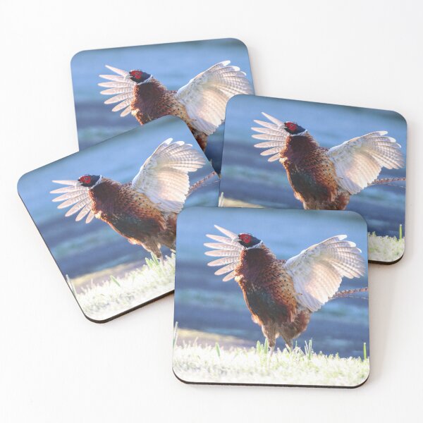 Item preview, Pheasant in a flap designed and sold by GreyFeatherPhot.