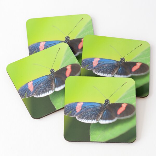 Item preview, Iridescent butterfly wing designed and sold by GreyFeatherPhot.
