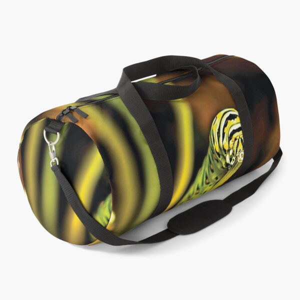 Item preview, Hungry Black Swallowtail Butterfly Caterpillar designed and sold by Kay Brewer.