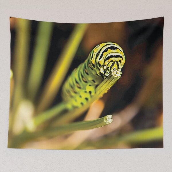 Item preview, Hungry Black Swallowtail Butterfly Caterpillar designed and sold by Kay Brewer.