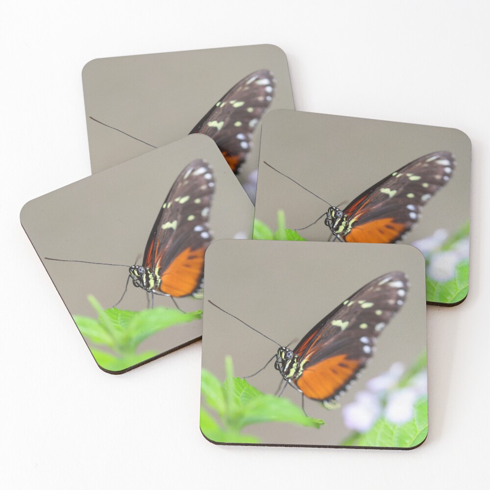 Item preview, Coasters (Set of 4) designed and sold by GreyFeatherPhot.