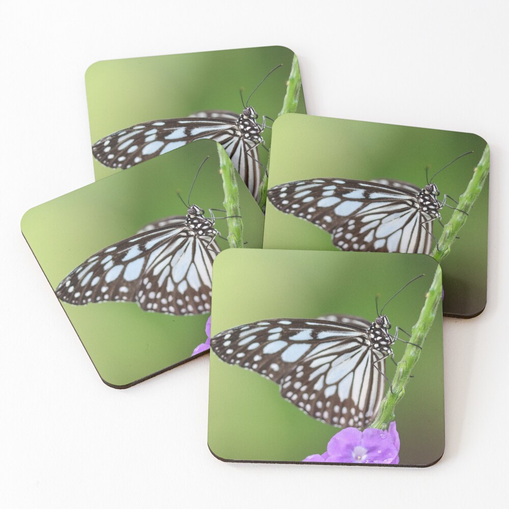 Item preview, Coasters (Set of 4) designed and sold by GreyFeatherPhot.