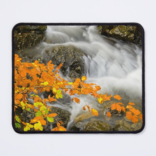 Item preview, Autumn Leaves and Waterfall English Lake District designed and sold by Martyn R Arnold Fine Art Nature & Landscape Photography.