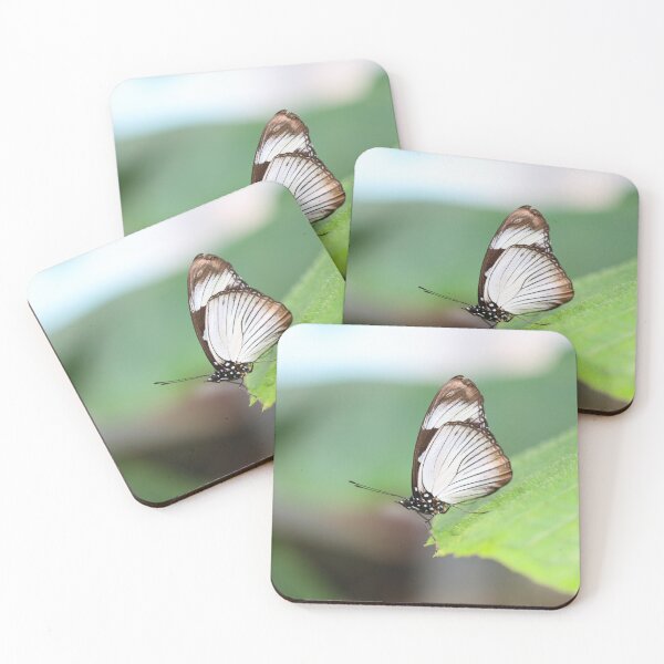 Item preview, Friar butterfly designed and sold by GreyFeatherPhot.