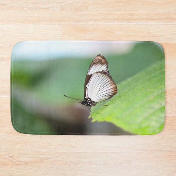 Item preview, Friar butterfly designed and sold by GreyFeatherPhot.