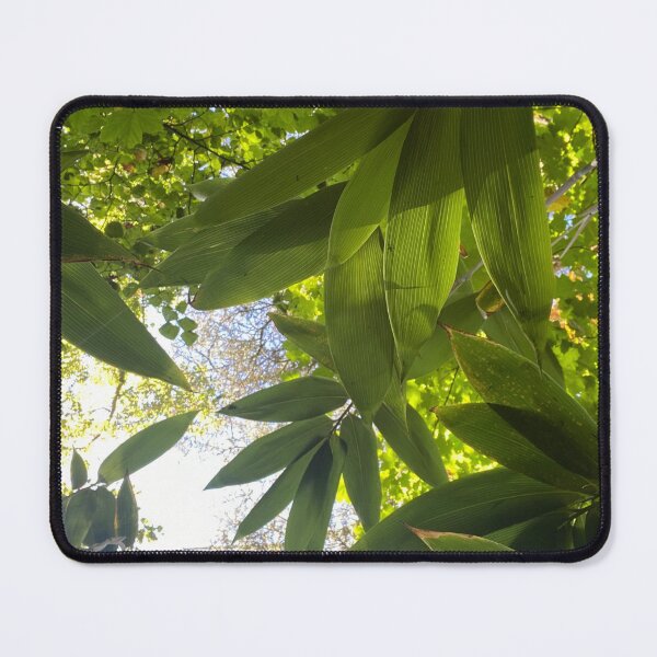 Item preview, Bamboo designed and sold by Seeyouspoon.