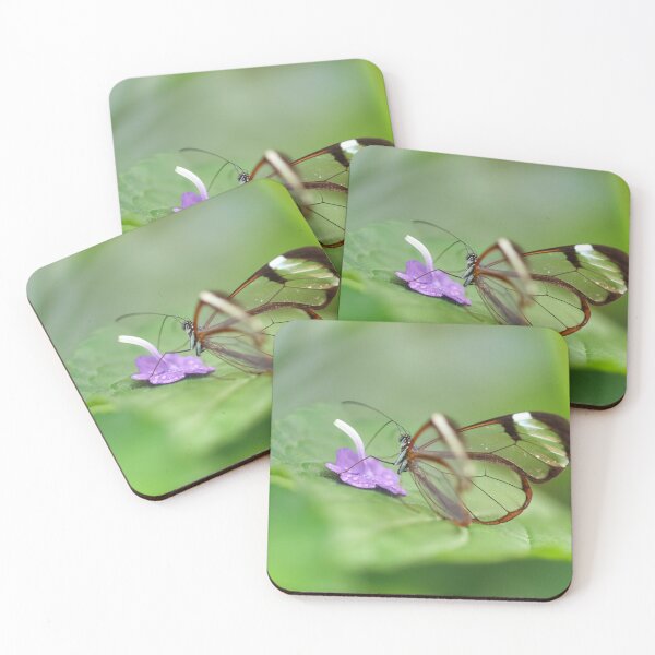 Item preview, Glasswing sipping nectar designed and sold by GreyFeatherPhot.
